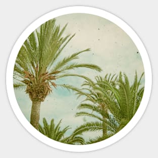 Palm Trees Sticker